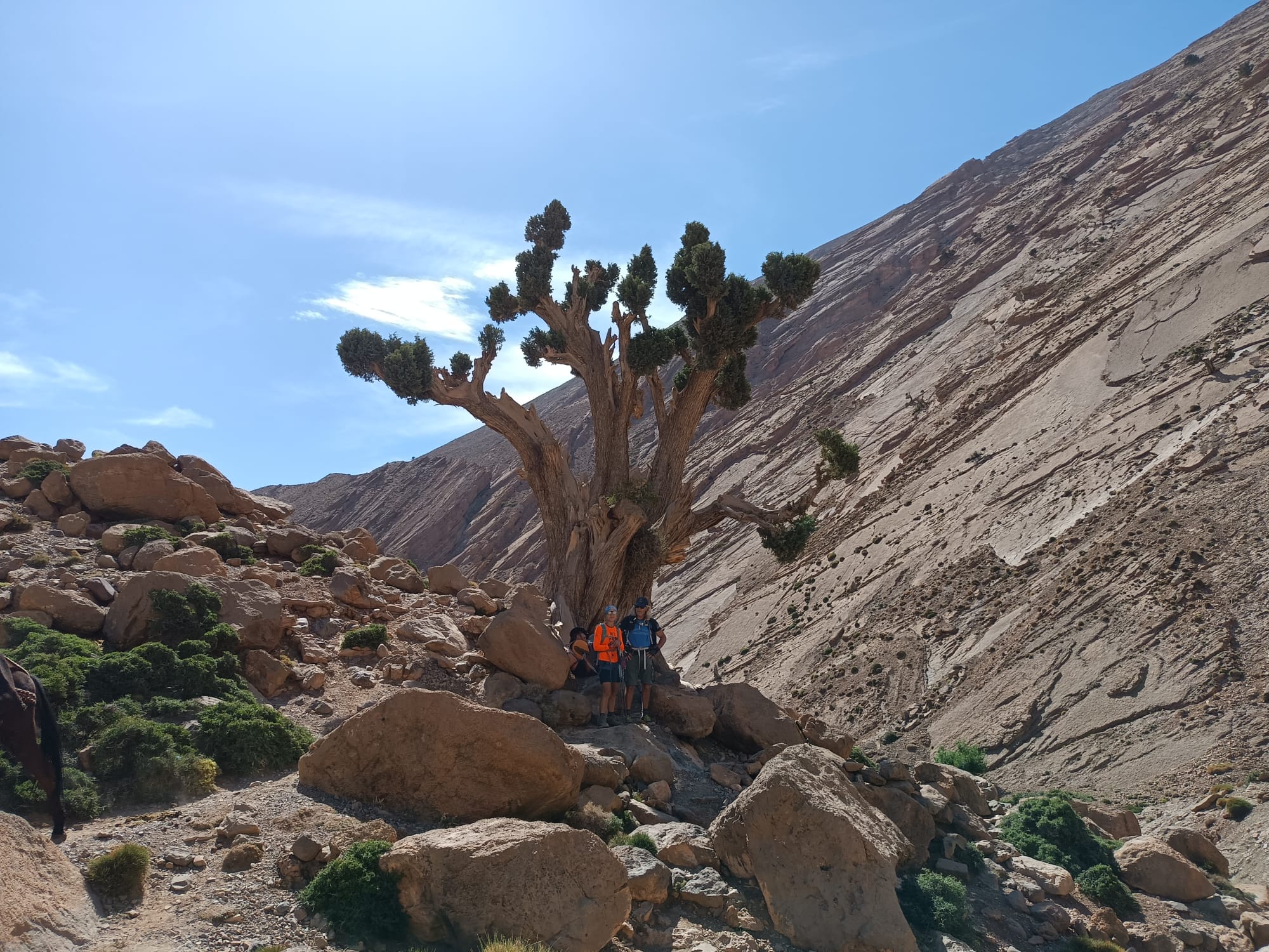 9 Days Family Trekking Adventure in Morocco