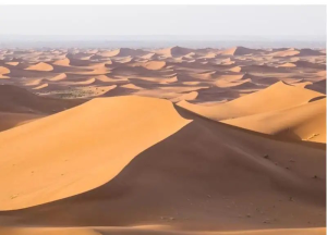 Morocco Desert Tours with Local Company Trekking Atlas Mountains