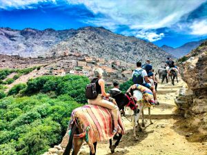 Imlil vs. Ourika Valley vs. Ouirgane: Best Marrakech Day Trip